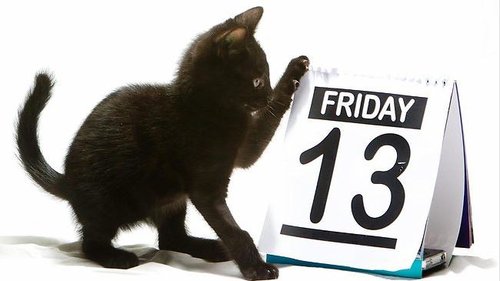 svart katt